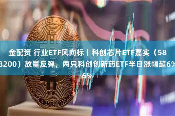 金配资 行业ETF风向标丨科创芯片ETF嘉实（588200）放量反弹，两只科创创新药ETF半日涨幅超6%